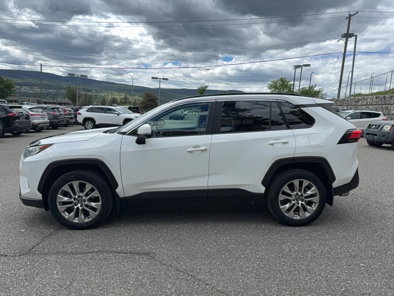 2019 Toyota RAV4 XLE Premium Photo3