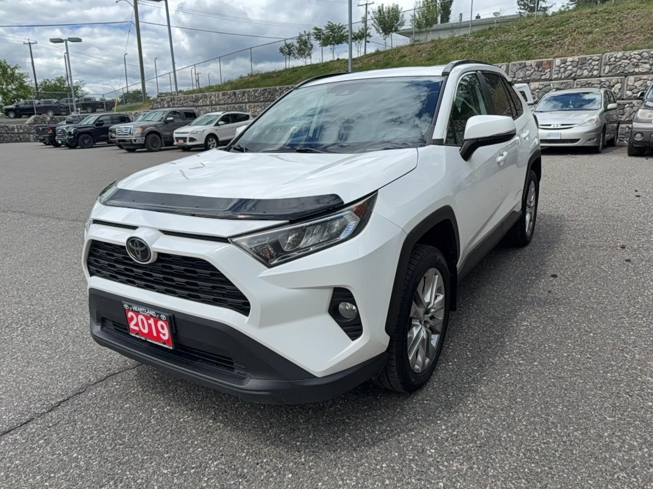 2019 Toyota RAV4 XLE Premium Photo2