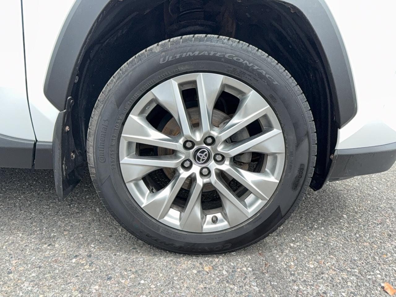 2019 Toyota RAV4 XLE Premium Photo