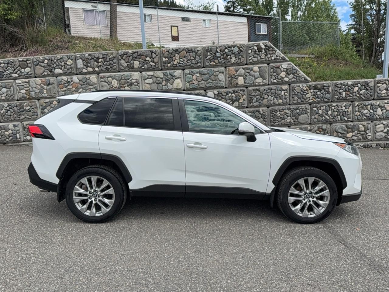 2019 Toyota RAV4 XLE Premium Photo