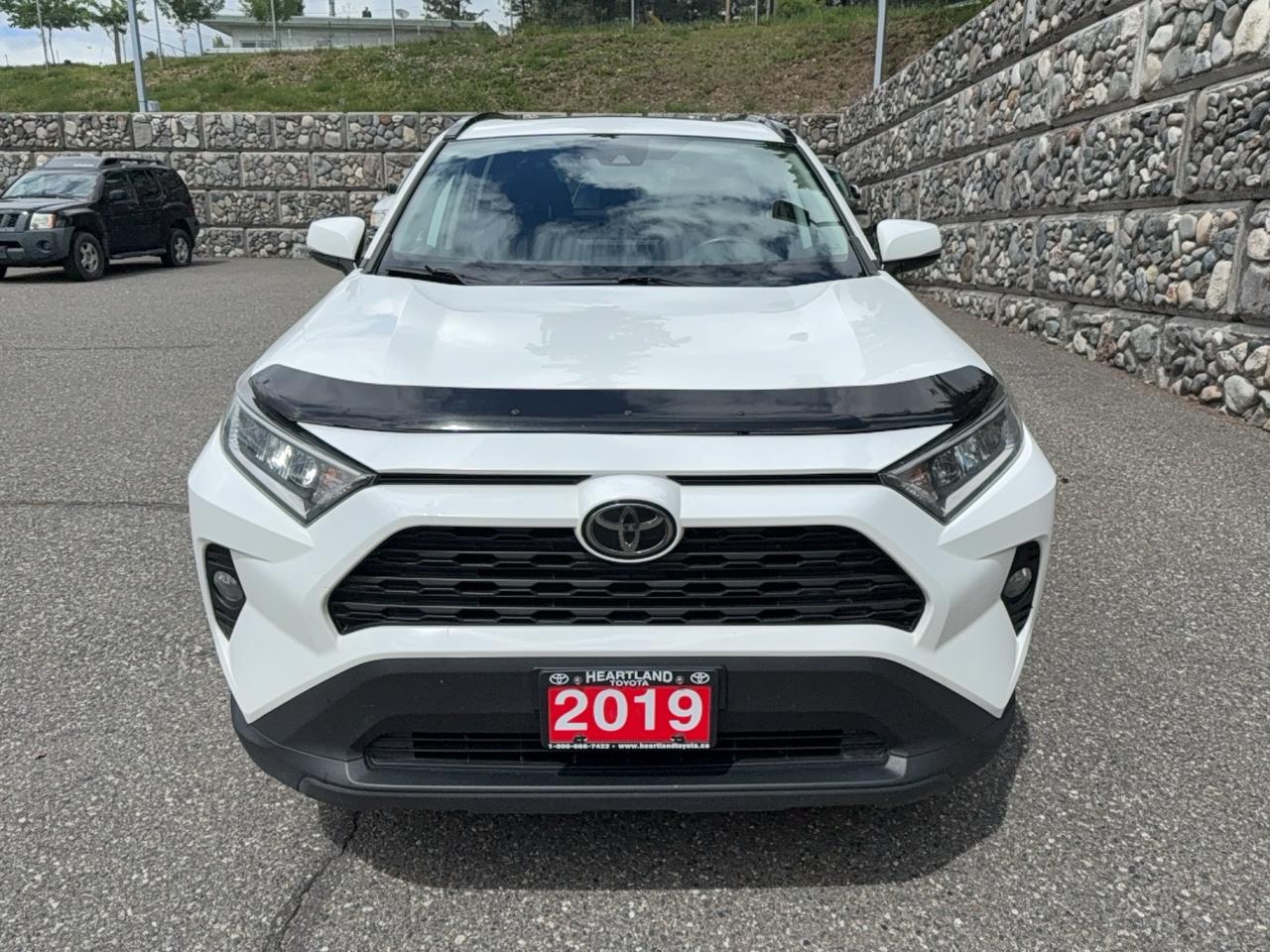2019 Toyota RAV4 XLE Premium Photo1