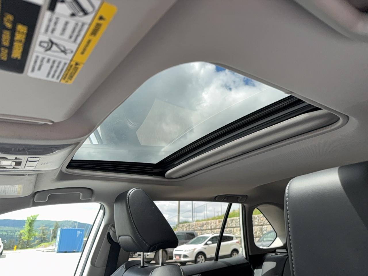 2019 Toyota RAV4 XLE Premium Photo