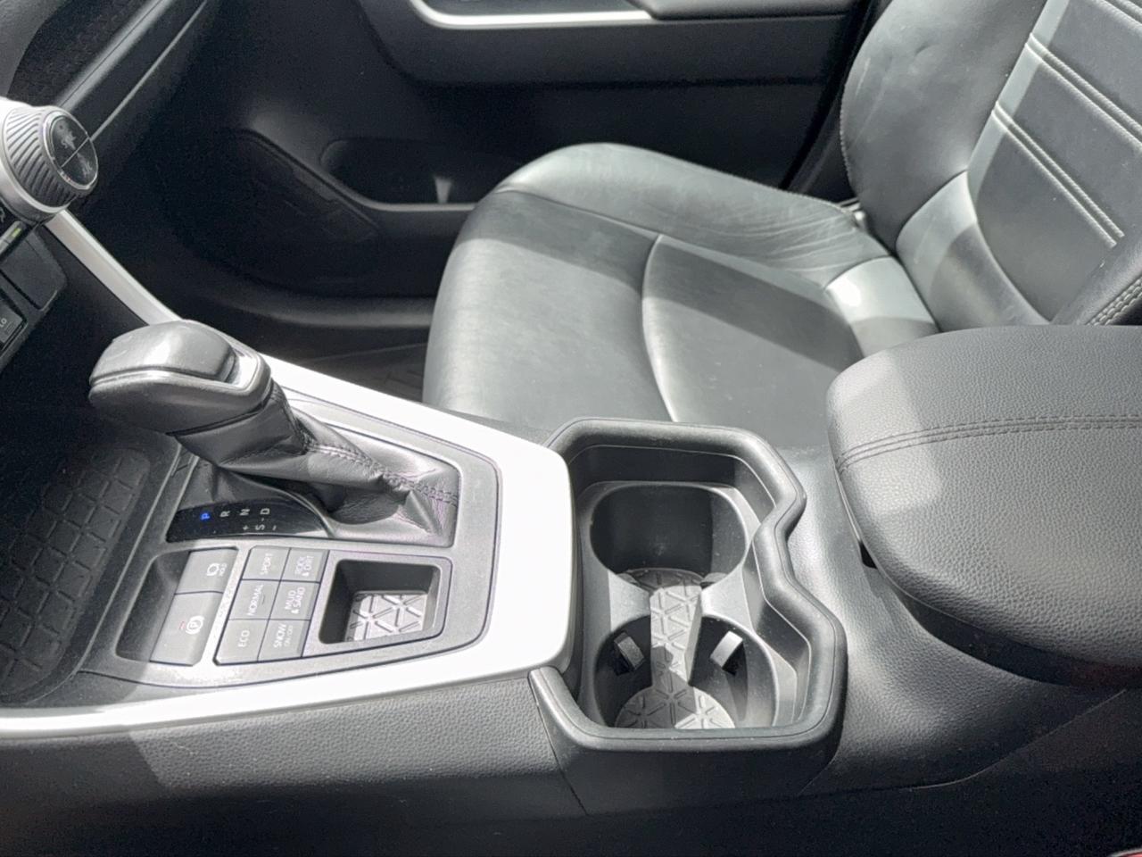 2019 Toyota RAV4 XLE Premium Photo
