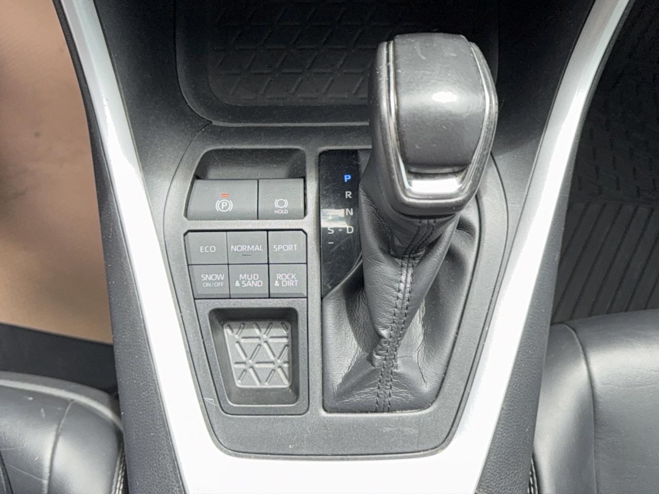2019 Toyota RAV4 XLE Premium Photo