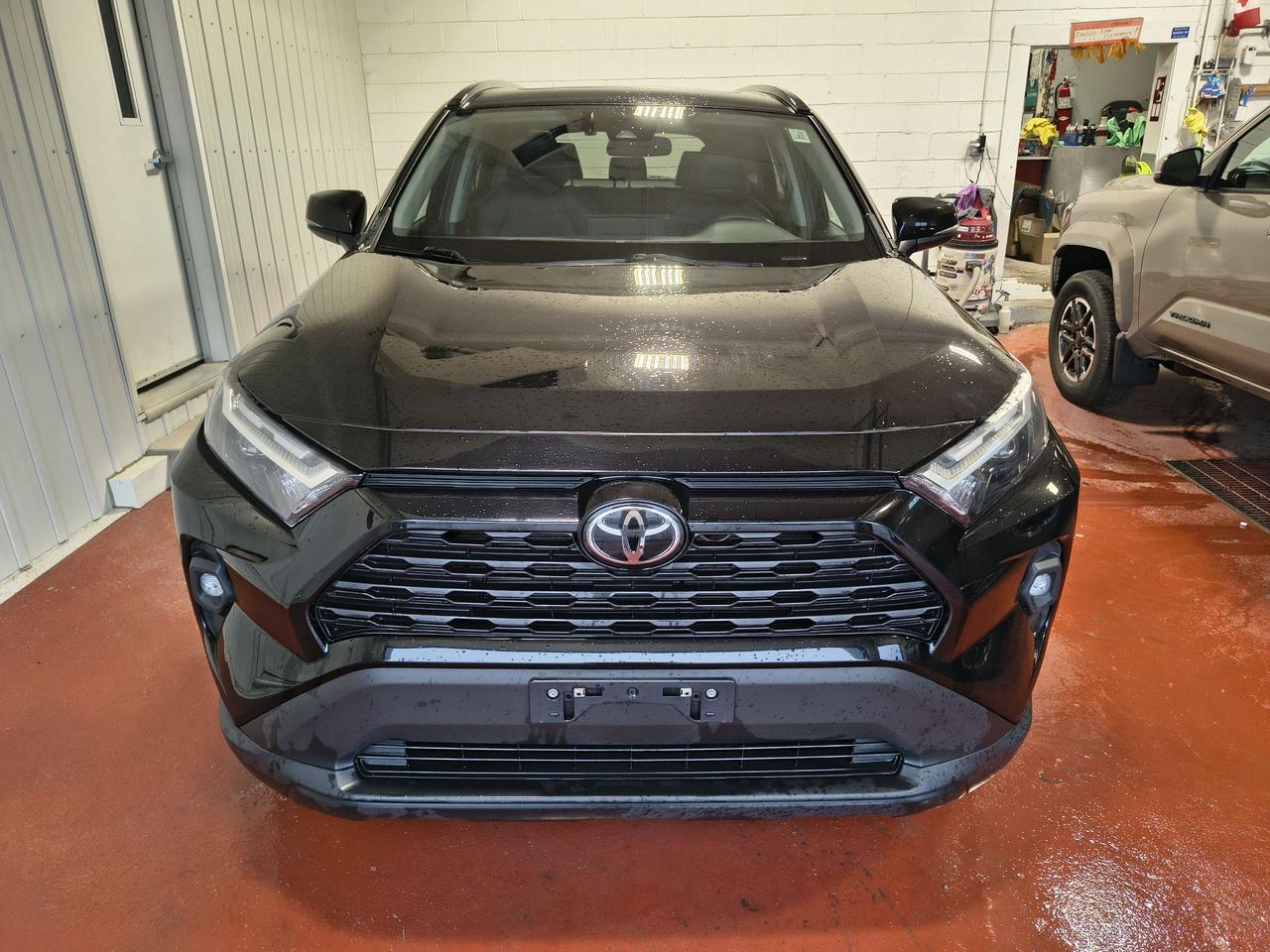 2023 Toyota RAV4 XLE Photo