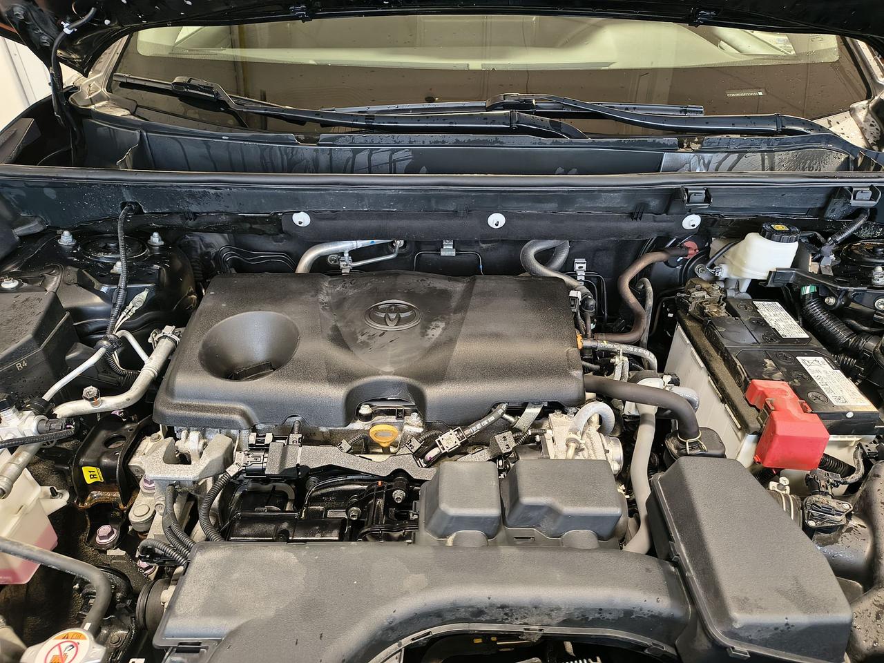 2023 Toyota RAV4 XLE Photo