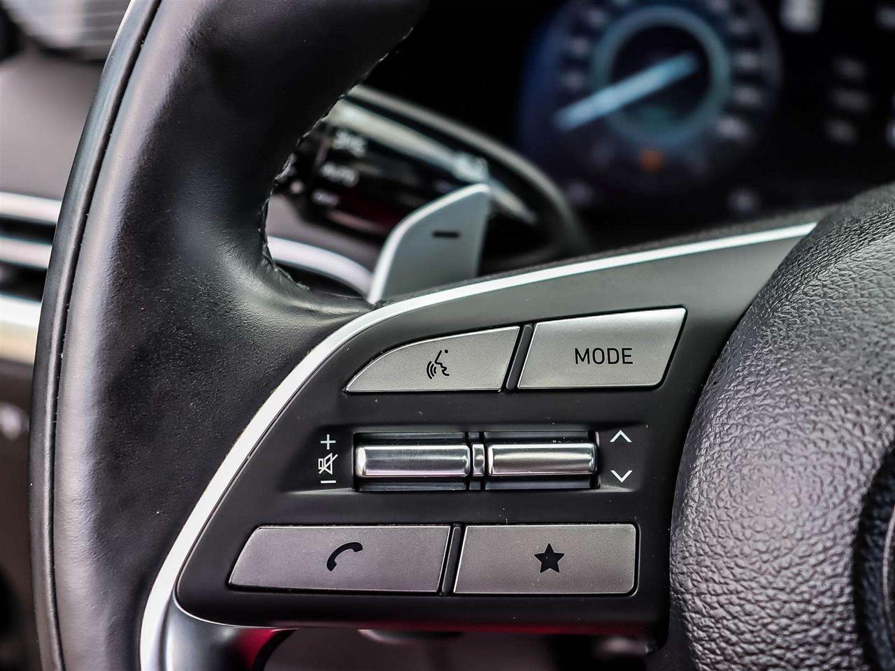2023 Hyundai PALISADE Ultimate Calligraphy Photo