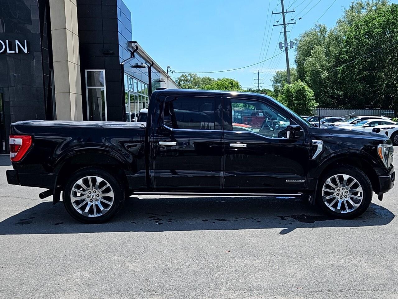 2023 Ford F-150 LIMITED   FULL HYBRID   1 OWNER Photo