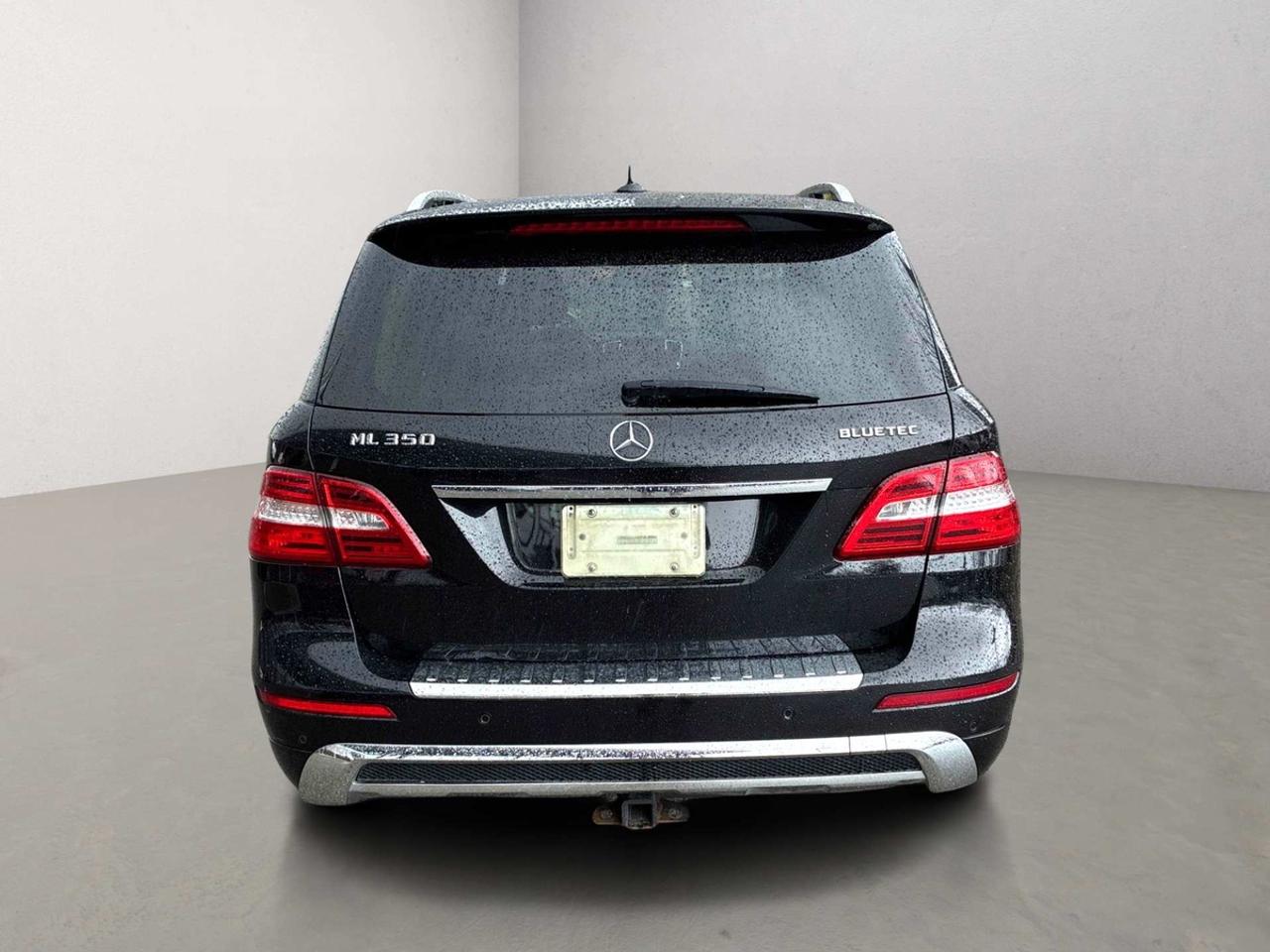 2015 Mercedes-Benz M-Class ML350 Photo