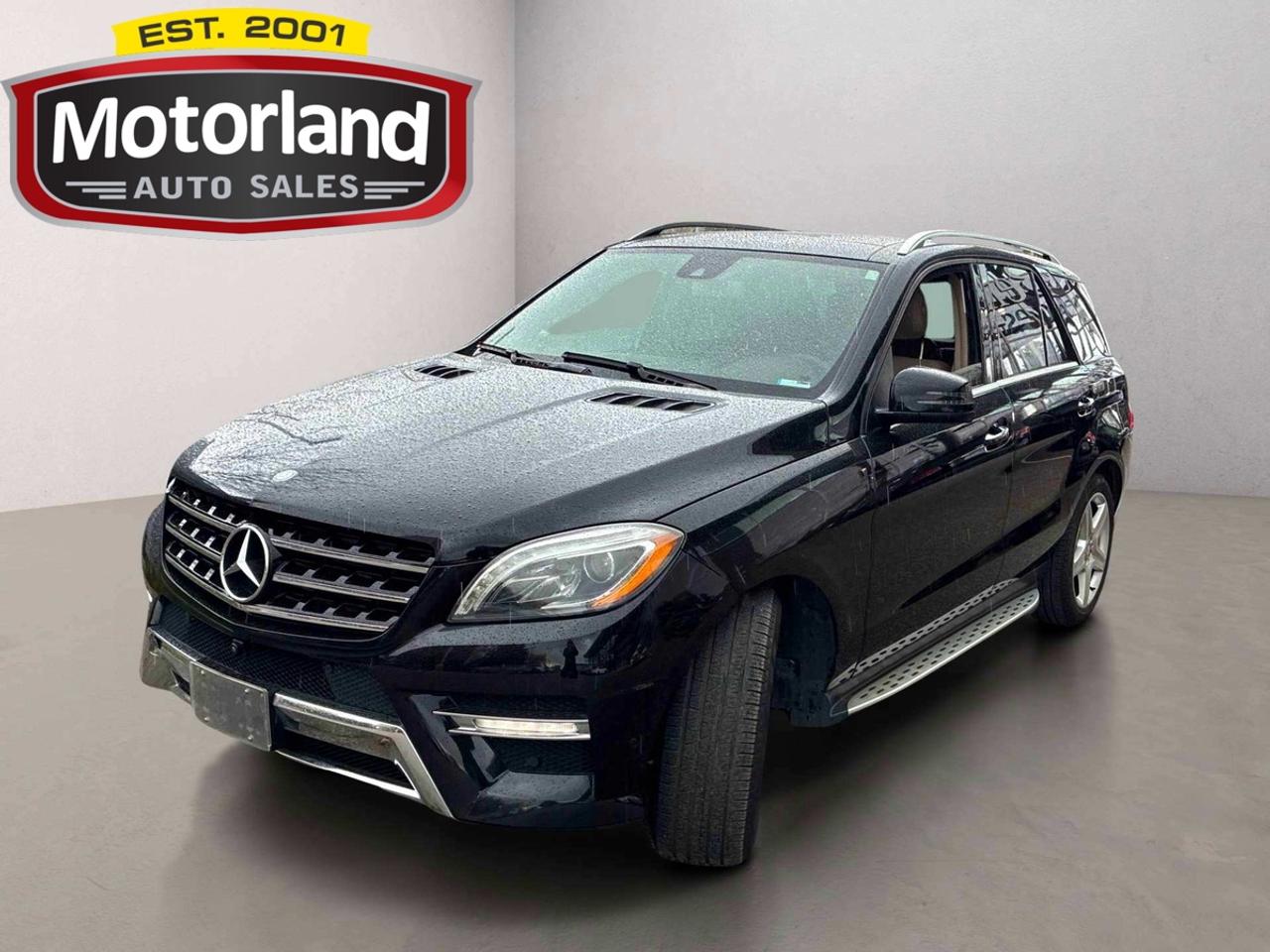 2015 Mercedes-Benz M-Class ML350 Photo