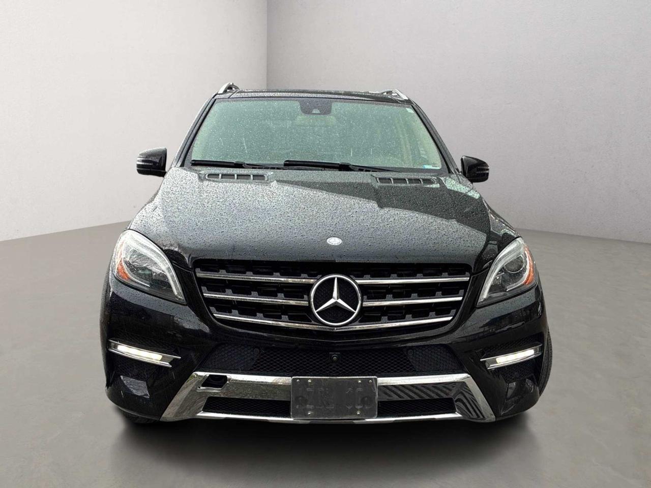 2015 Mercedes-Benz M-Class ML350 Photo
