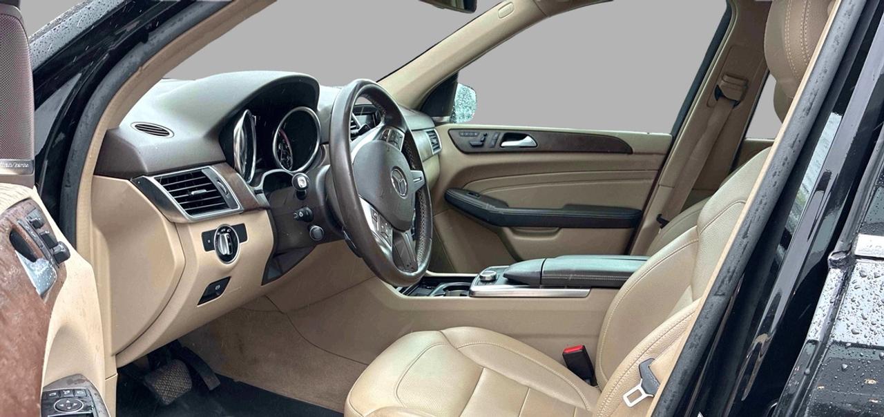 2015 Mercedes-Benz M-Class ML350 Photo