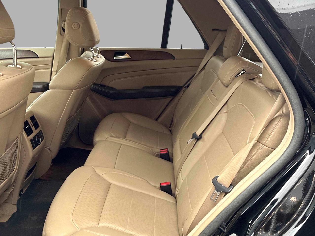 2015 Mercedes-Benz M-Class ML350 Photo