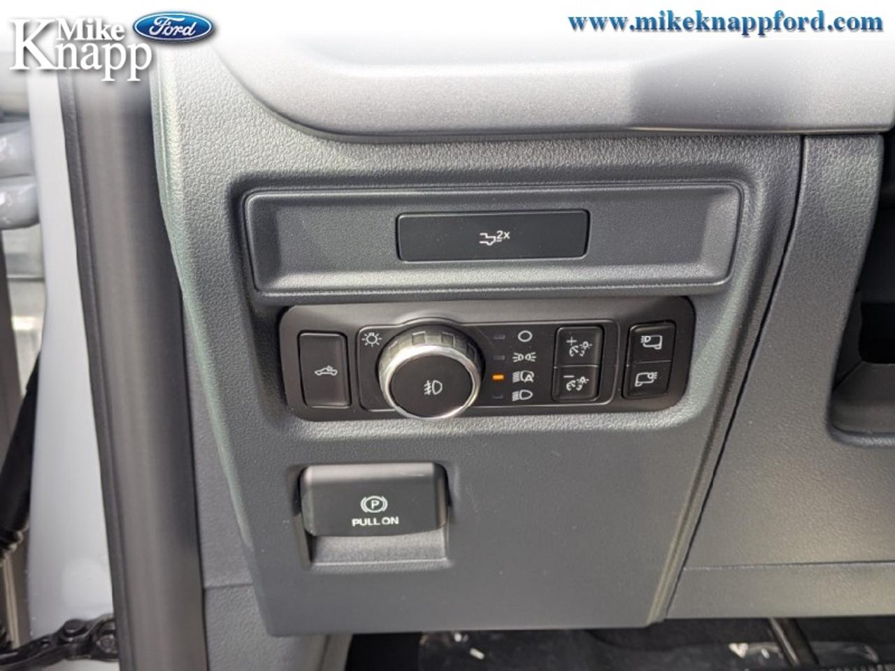 2026 Ford F-150 XLT Photo
