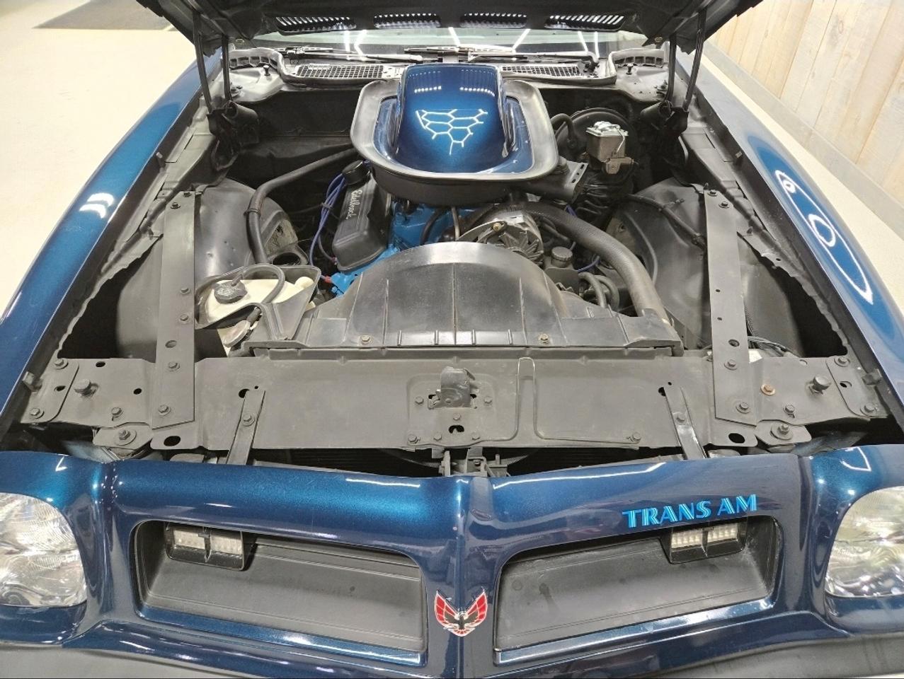 1975 Pontiac Firebird 455HO Trans Am Photo