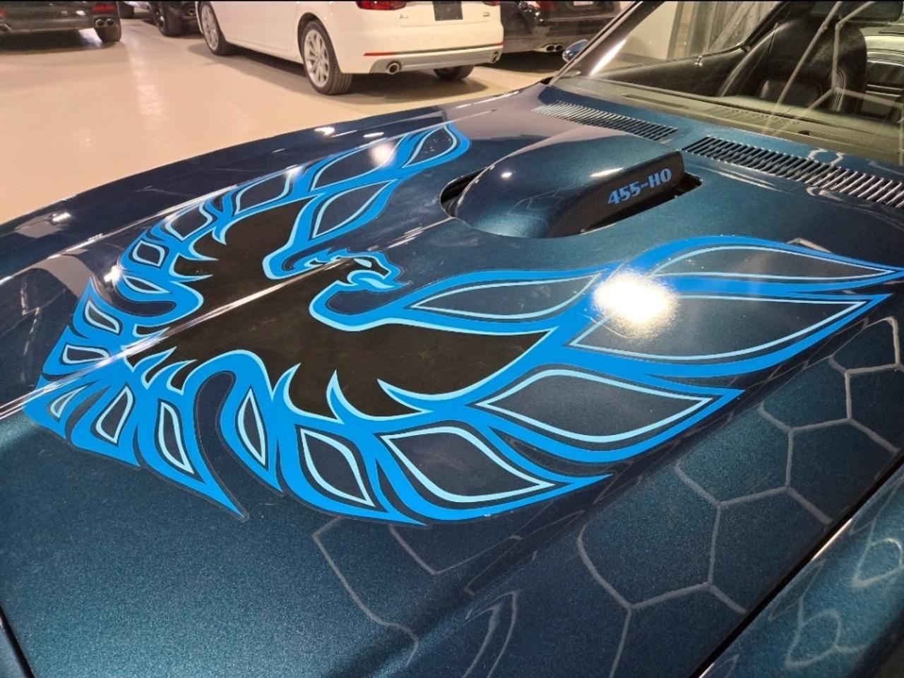 1975 Pontiac Firebird 455HO Trans Am Photo