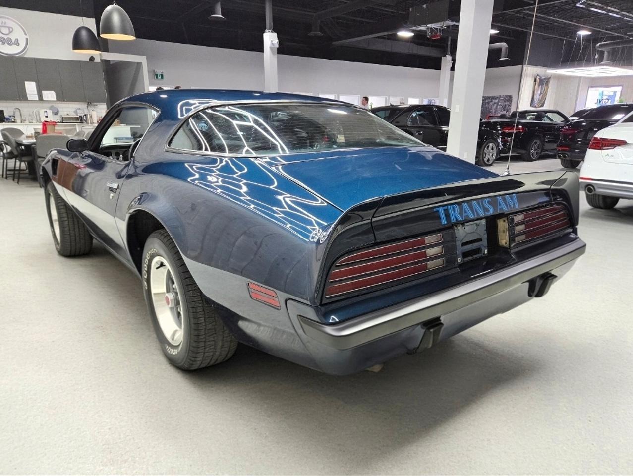 1975 Pontiac Firebird 455HO Trans Am Photo