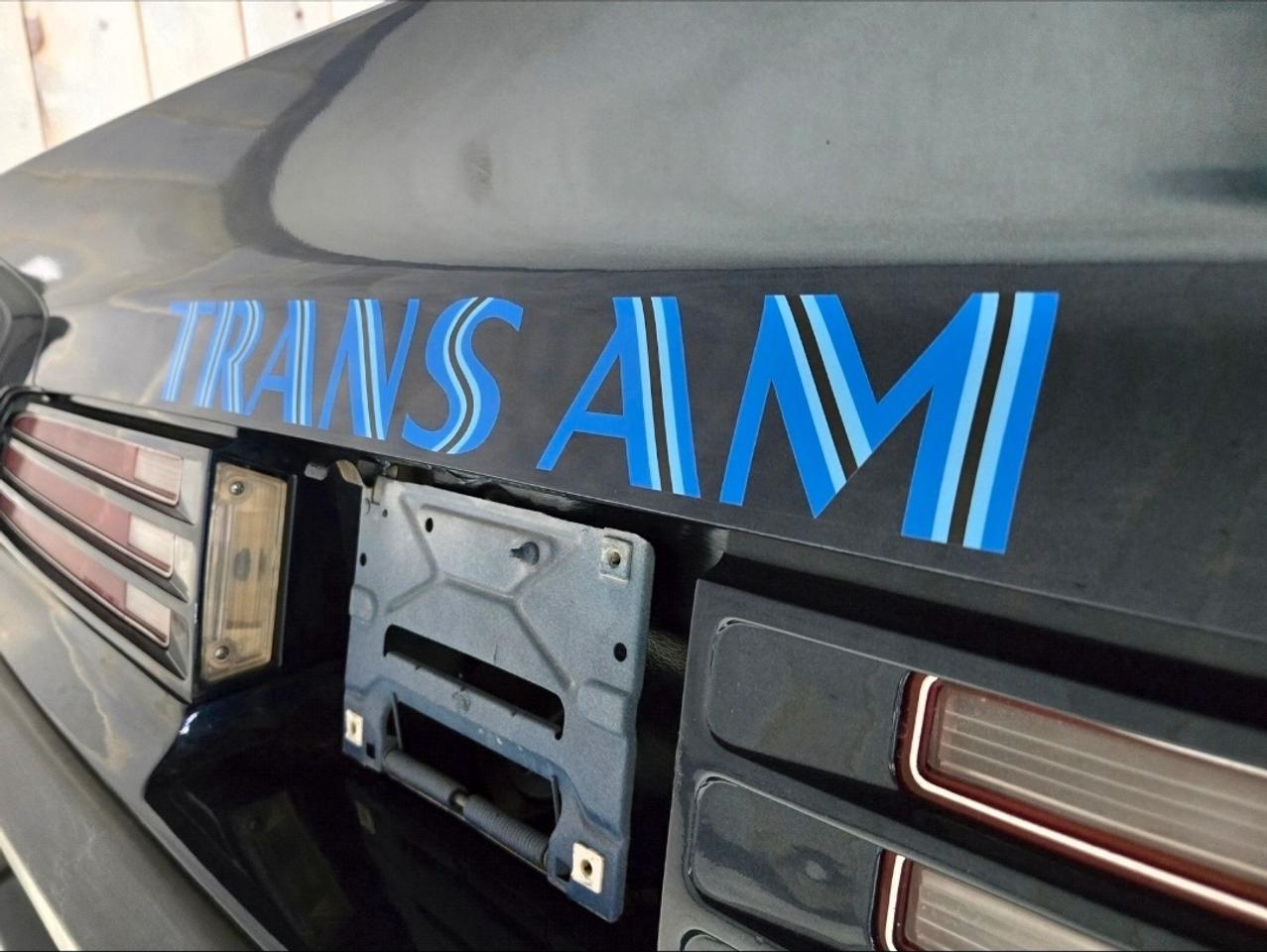 1975 Pontiac Firebird 455HO Trans Am Photo