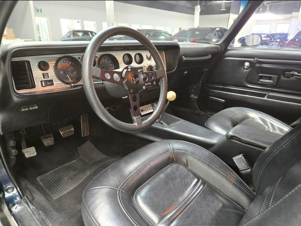 1975 Pontiac Firebird 455HO Trans Am Photo