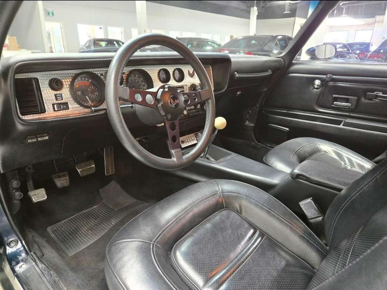 1975 Pontiac Firebird 455HO Trans Am Photo