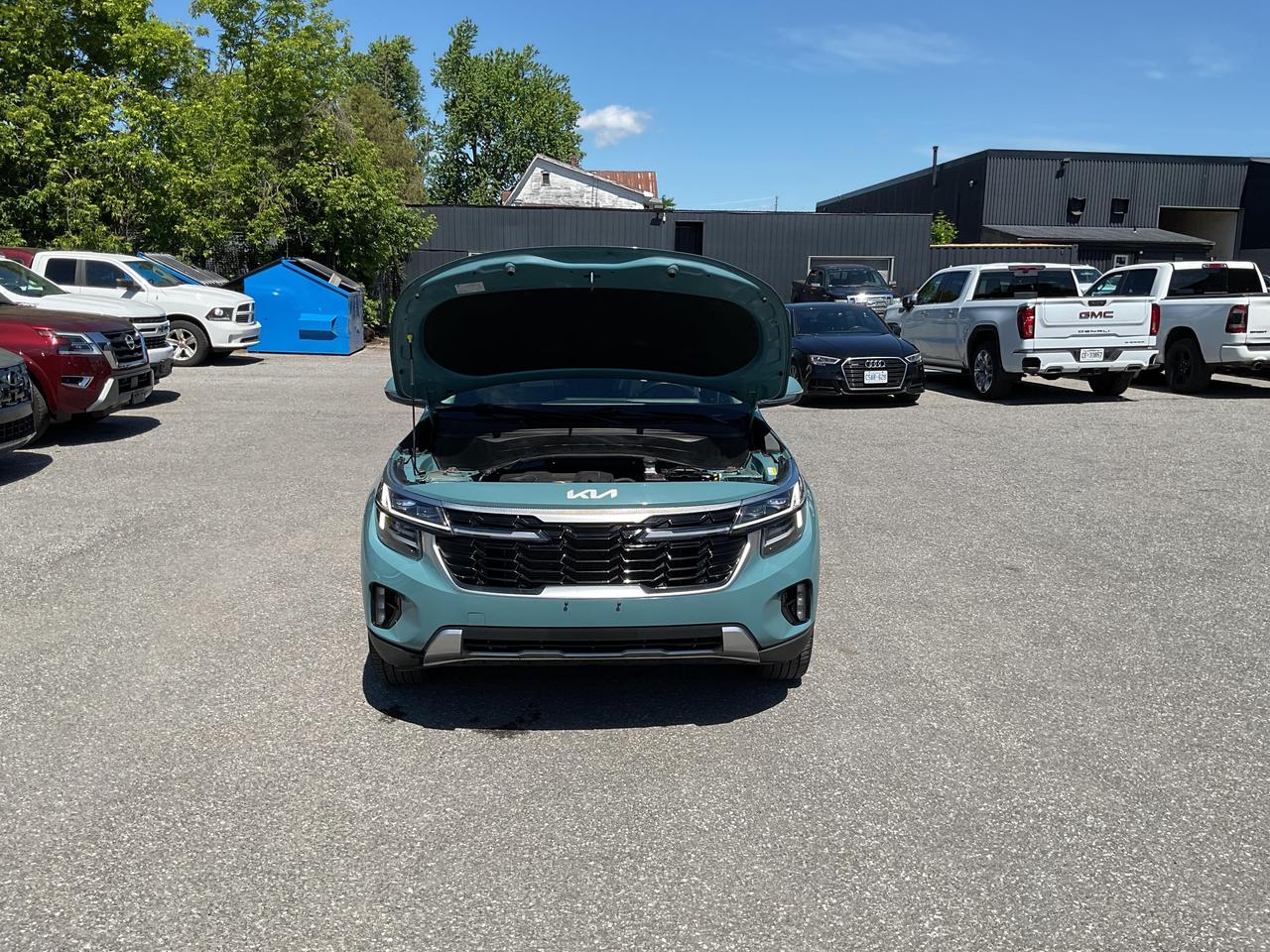 2024 Kia Seltos  Photo
