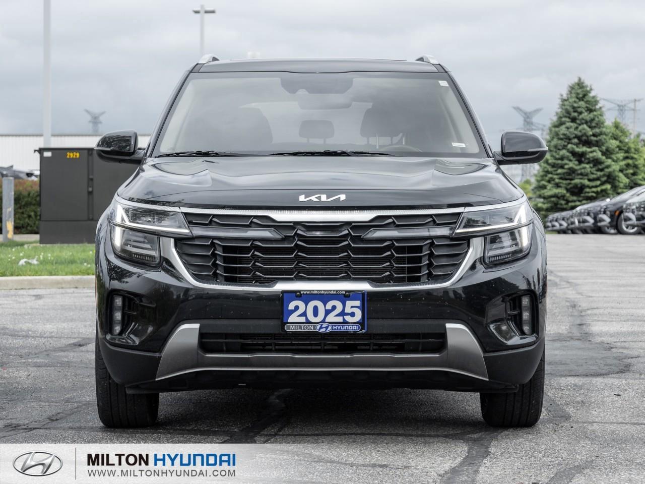 2025 Kia Seltos EX 4dr All-Wheel Drive Photo