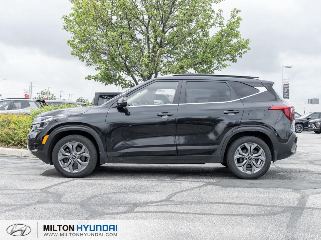 2025 Kia Seltos EX 4dr All-Wheel Drive Photo2