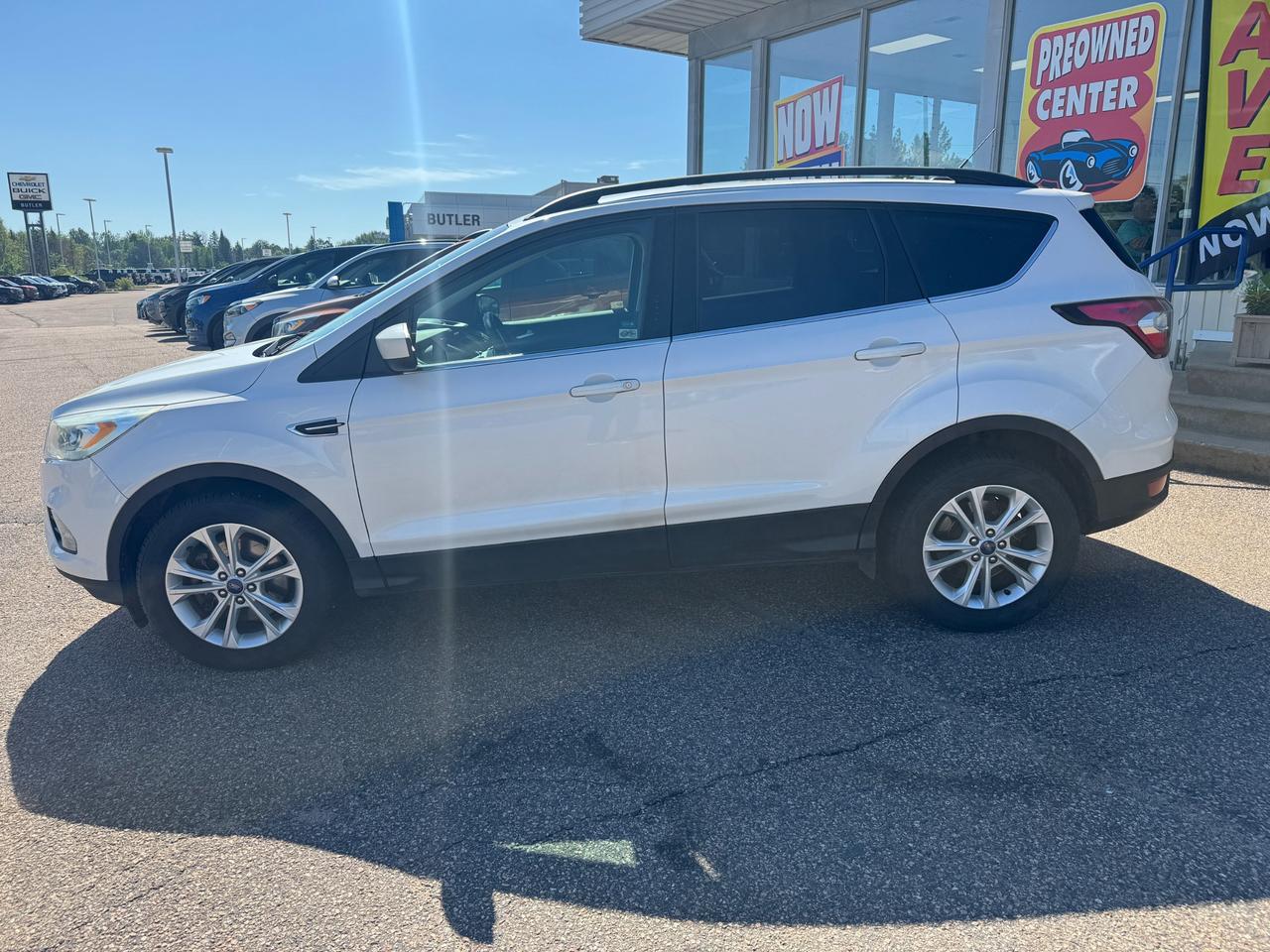 2017 Ford Escape SE 4dr 4x4 Photo
