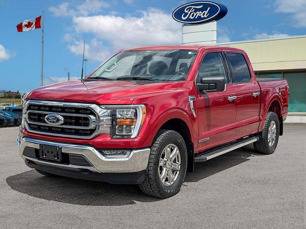2022 Ford F-150 XLT   302A   HYBRID   TAILGATE STEP Photo
