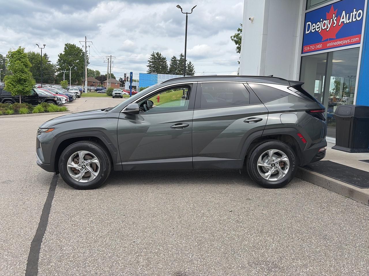 2024 Hyundai Tucson Trend AWD   Factory Warranty   NAV   Pano Roof Photo