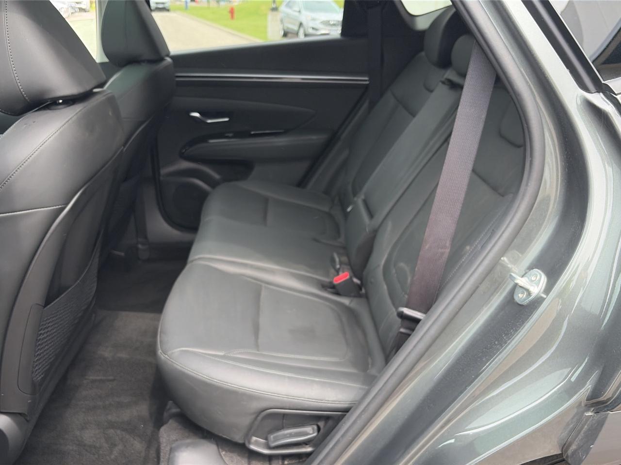 2024 Hyundai Tucson Trend AWD   Factory Warranty   NAV   Pano Roof Photo