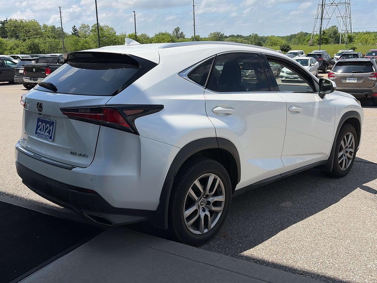 2021 Lexus NX NX 300 AWD Photo