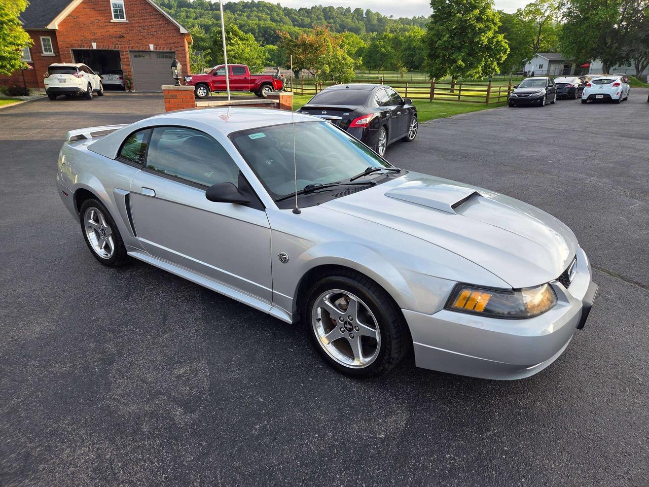 2004 Ford Mustang GT Photo