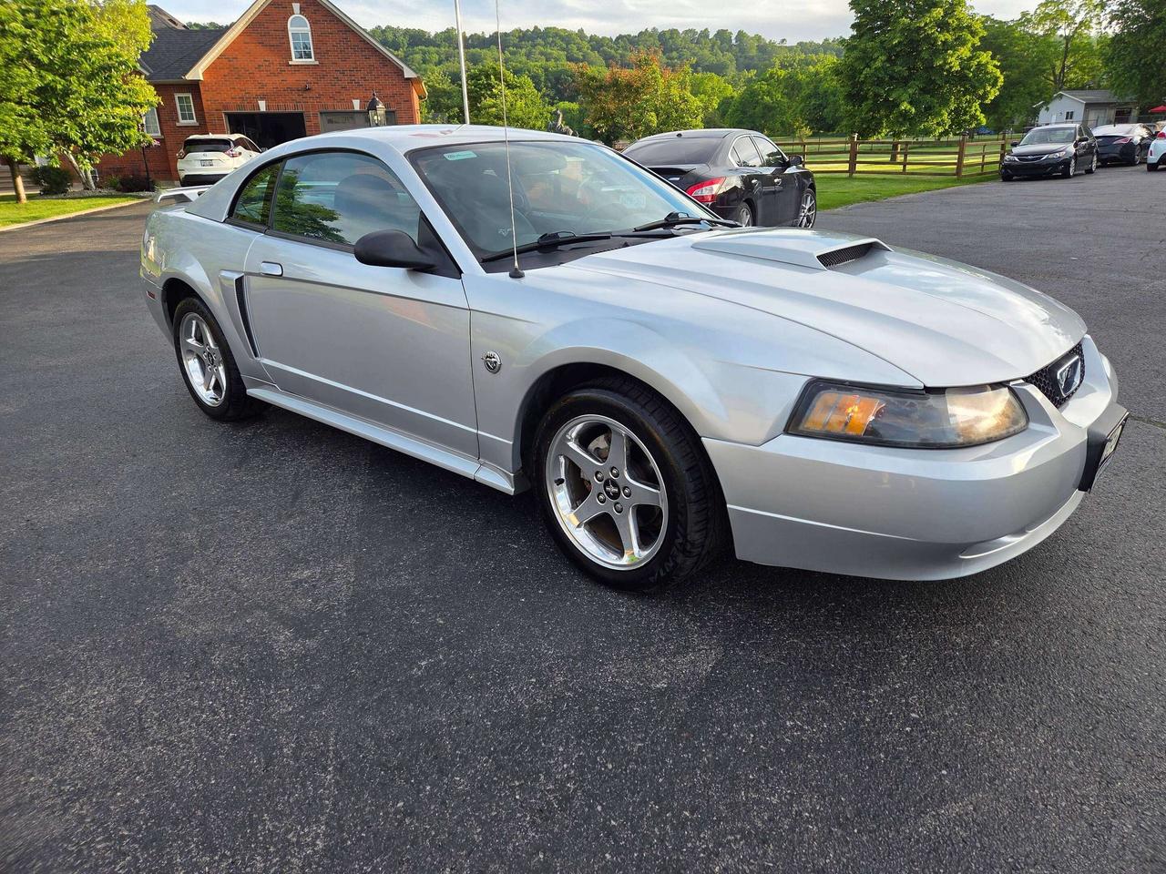 2004 Ford Mustang GT Photo