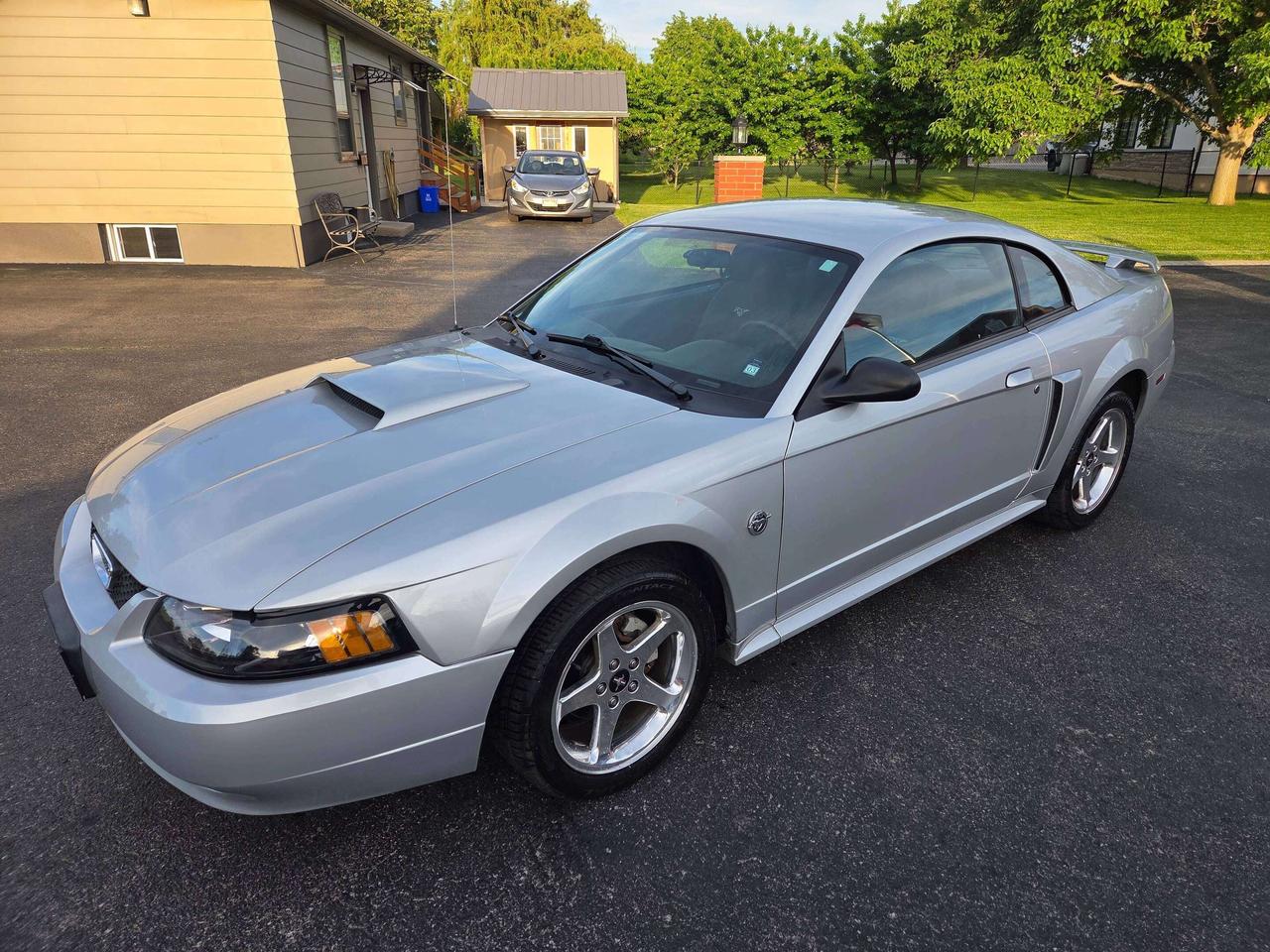 2004 Ford Mustang GT Photo