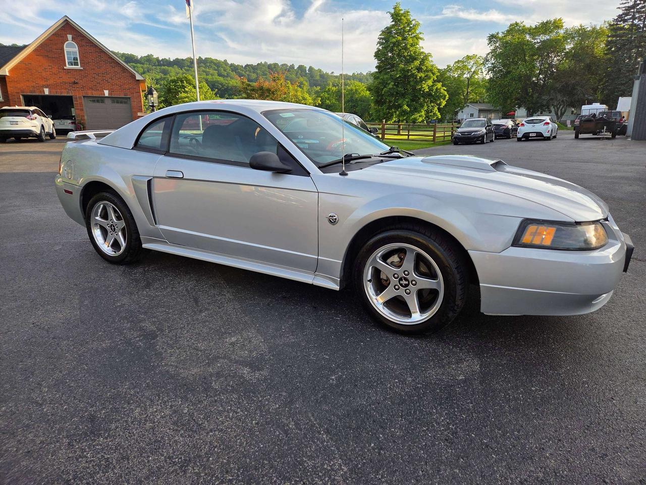 2004 Ford Mustang GT Photo