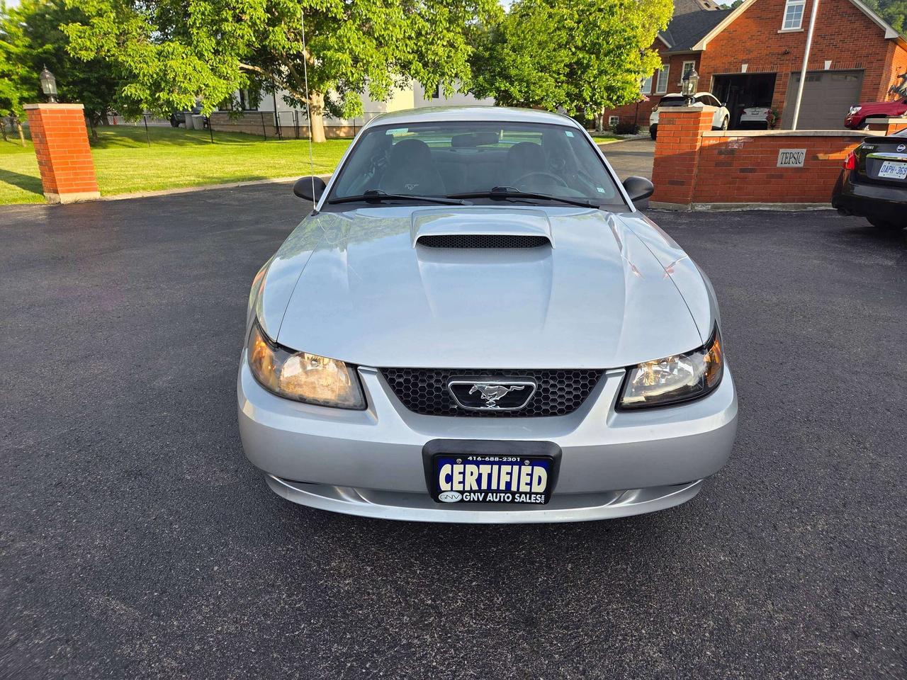2004 Ford Mustang GT Photo