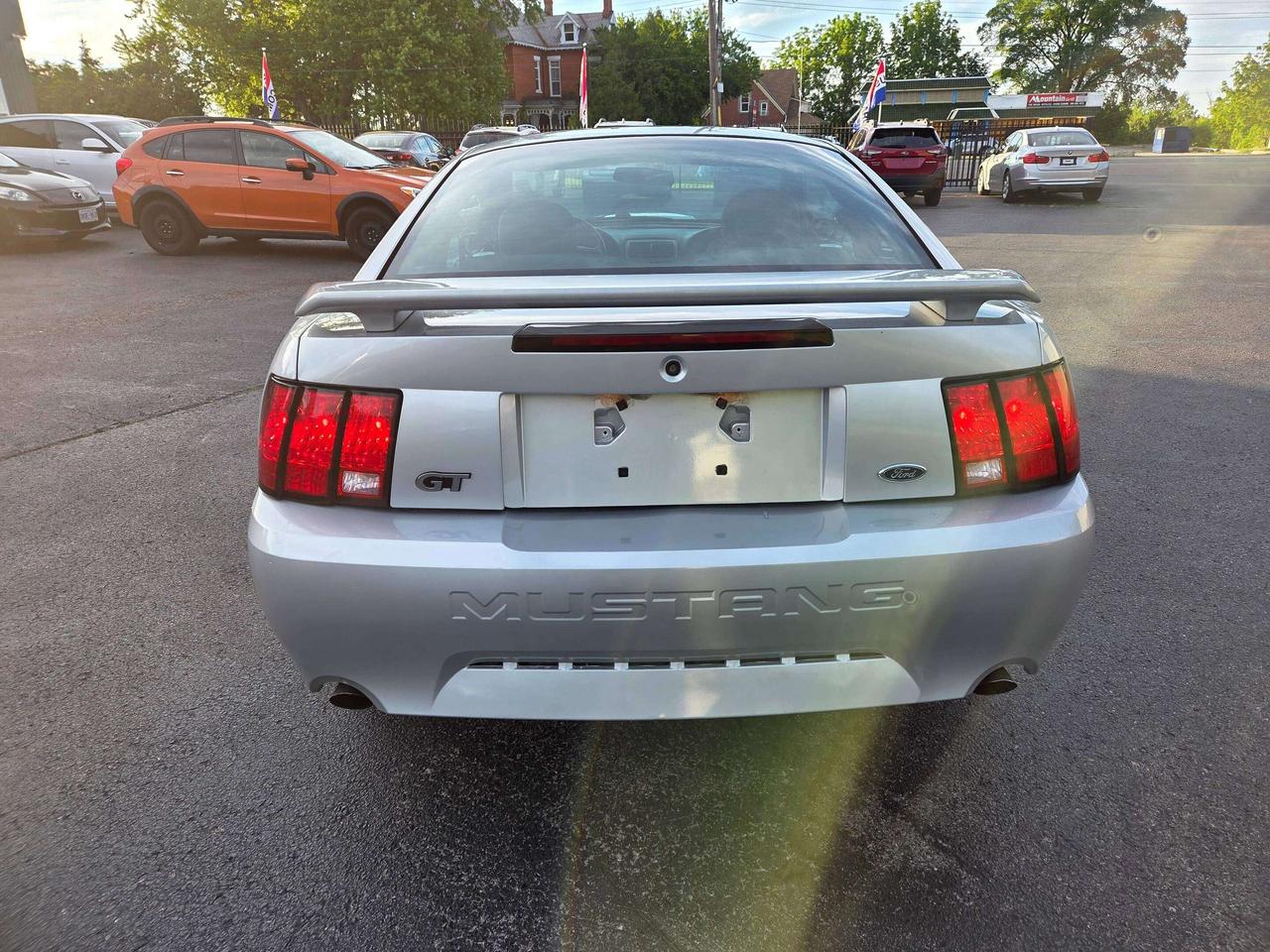 2004 Ford Mustang GT Photo