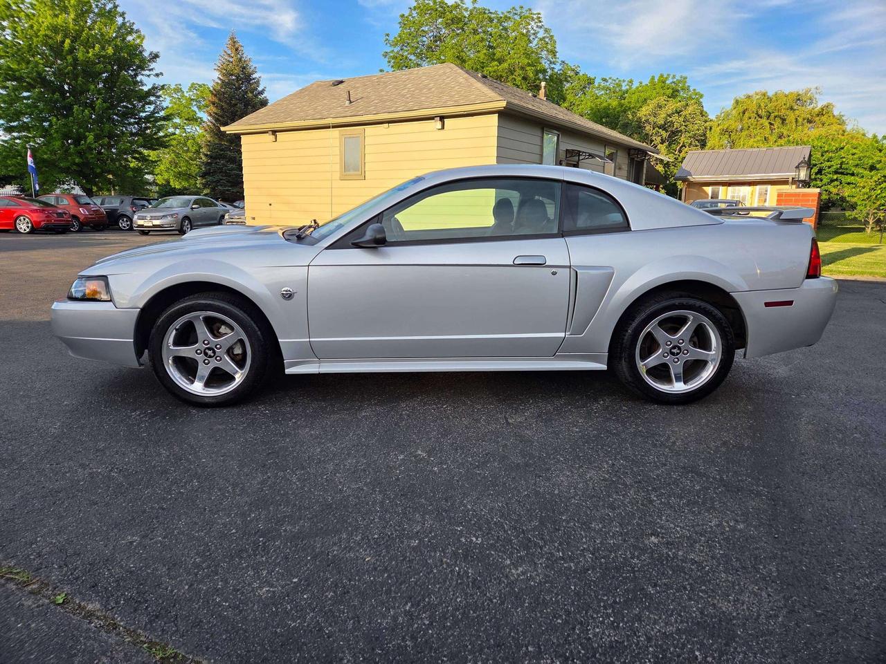 2004 Ford Mustang GT Photo