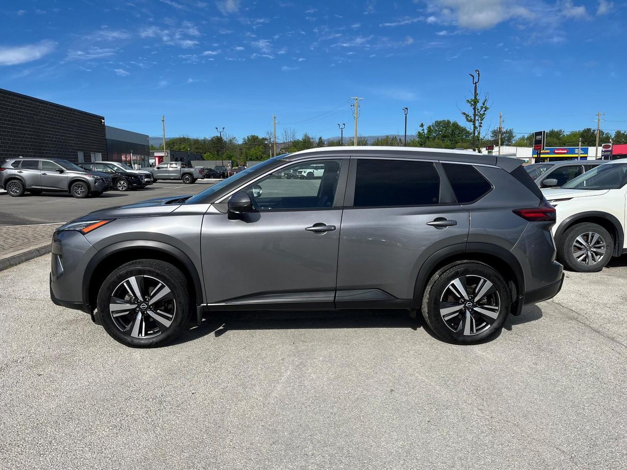 2024 Nissan Rogue SV Premium AWD Photo