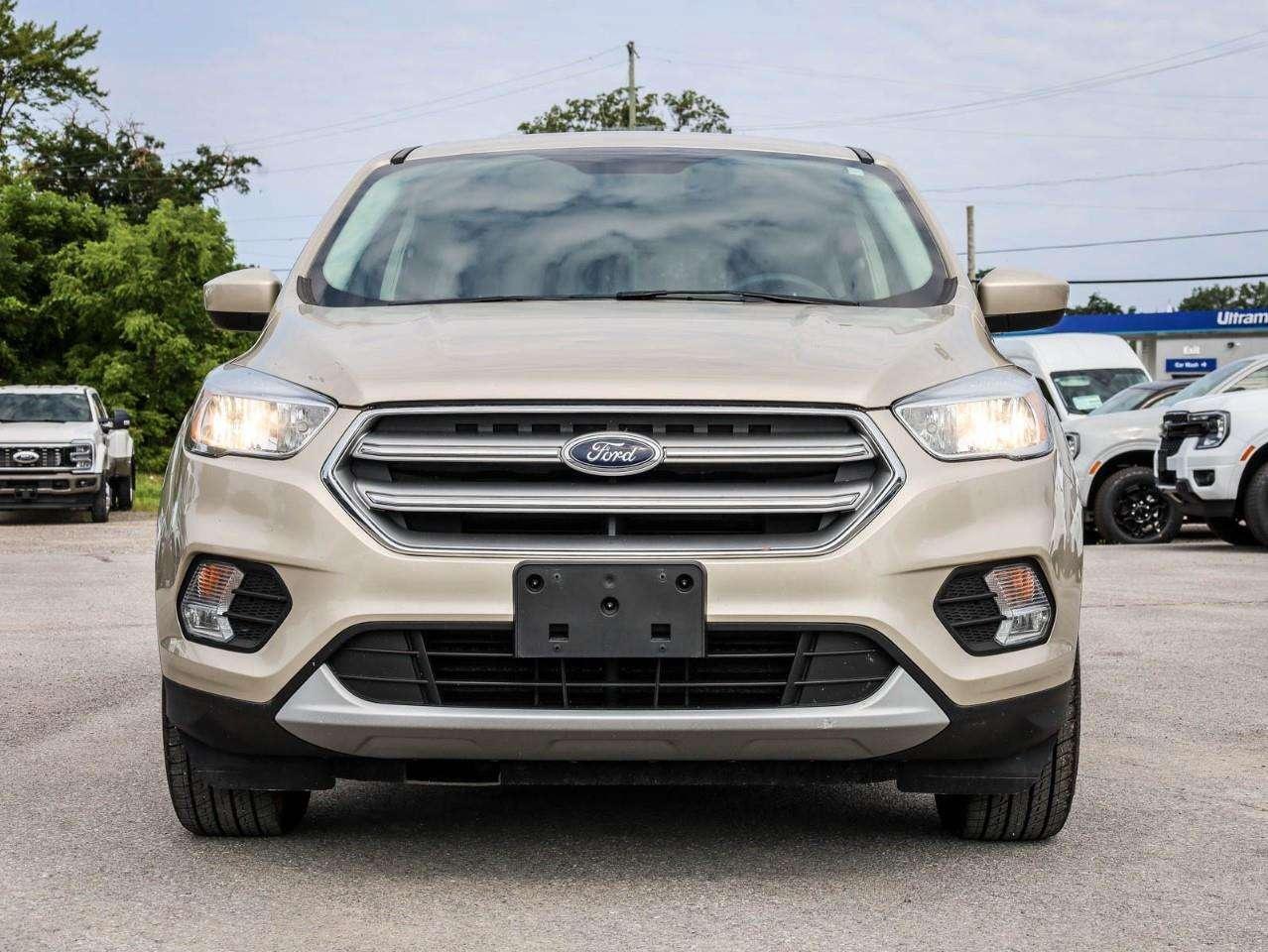 2017 Ford Escape SE Photo5