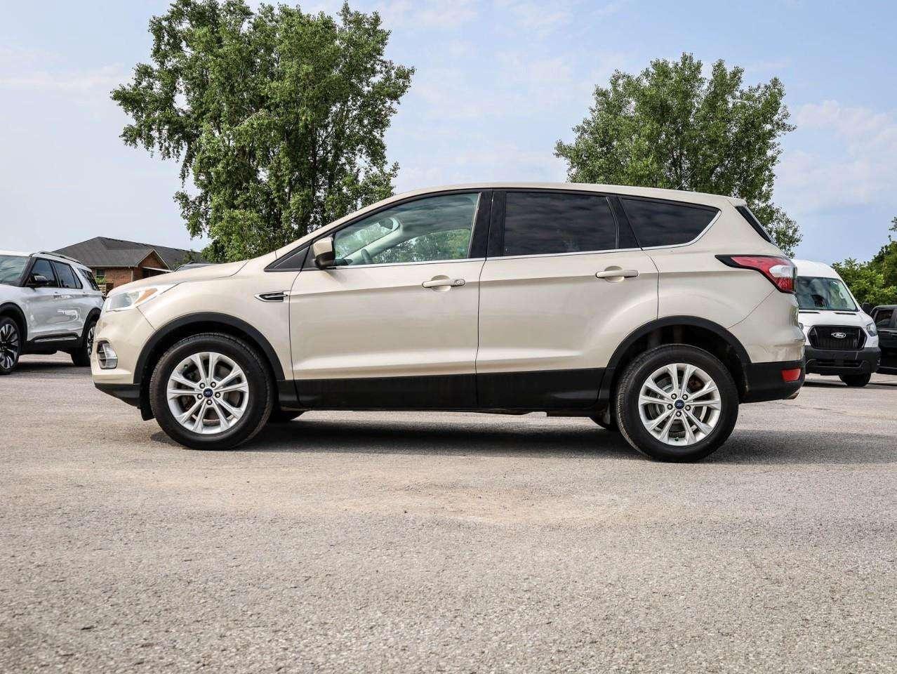 2017 Ford Escape SE Photo