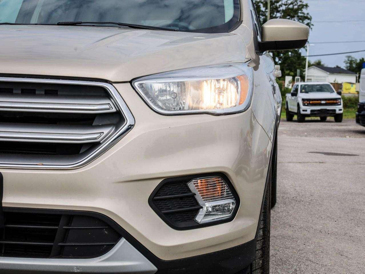 2017 Ford Escape SE Photo