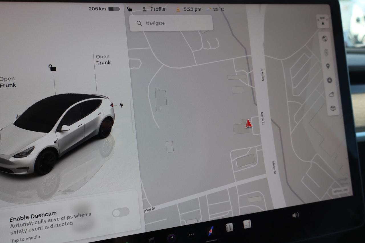 2022 Tesla Model Y Performance   Dual Motor Photo