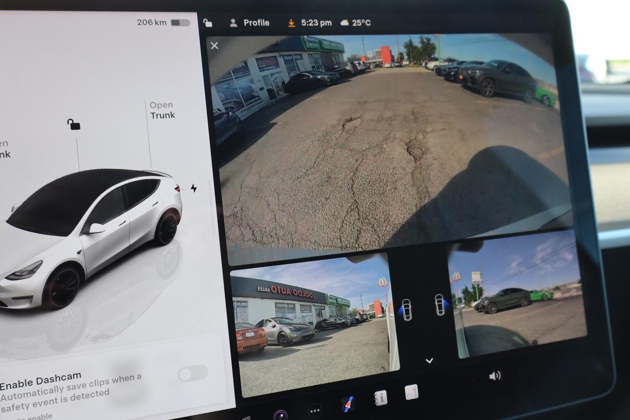 2022 Tesla Model Y Performance   Dual Motor Photo