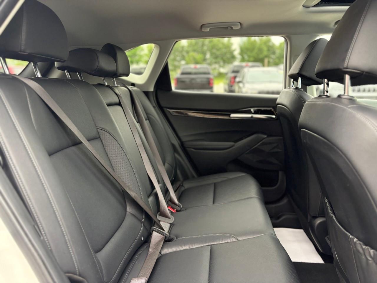 2024 Kia Seltos EX 4dr All-Wheel Drive Photo