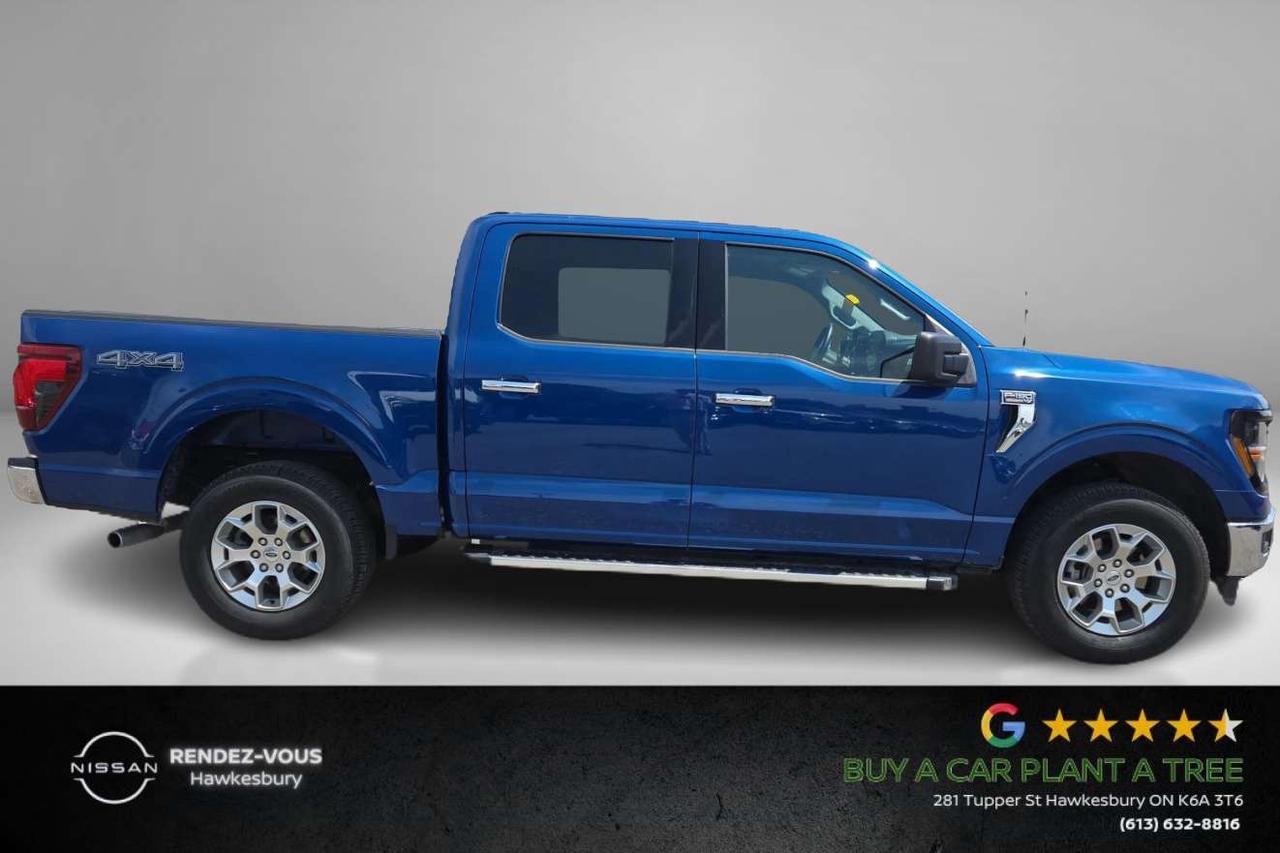 2025 Ford F-150 XLT Photo