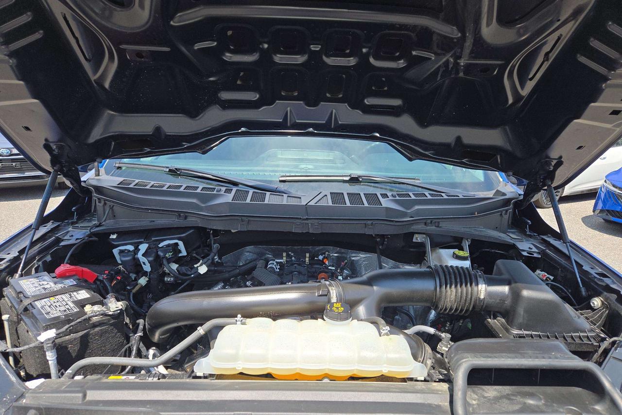 2025 Ford F-150 XLT Photo