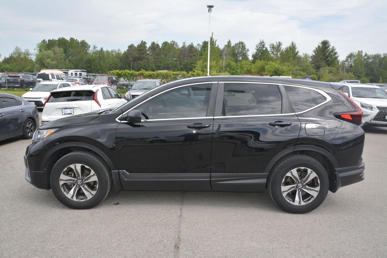 2022 Honda CR-V LX Photo