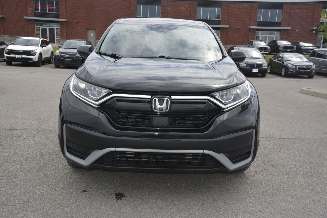 2022 Honda CR-V LX Photo